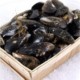 MOULES ESPAGNE