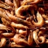 CREVETTE GRISE par 100g