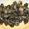BIGORNEAUX par 100g