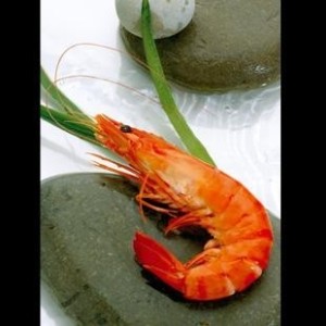 CREVETTES EXTRA GROSSES